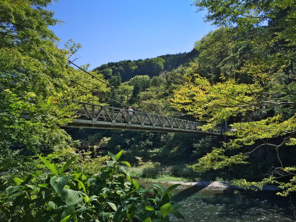 大自然もレジャー施設も満喫できる！家族みんな休日が待ち遠しくなる青梅市ライフ