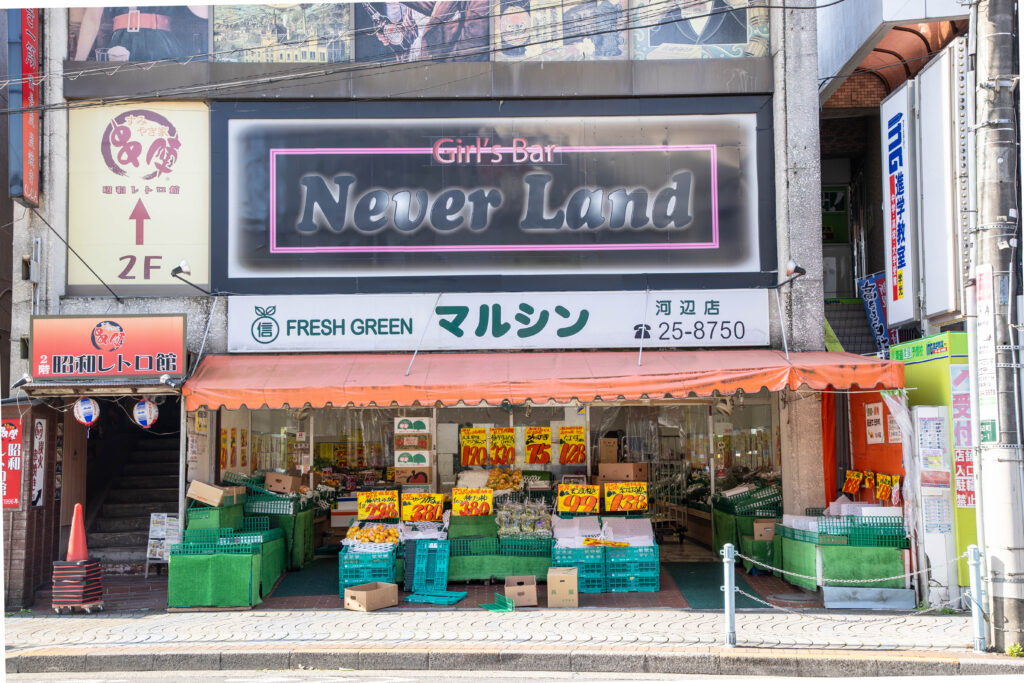 フレッシュグリーンマルシン河辺店